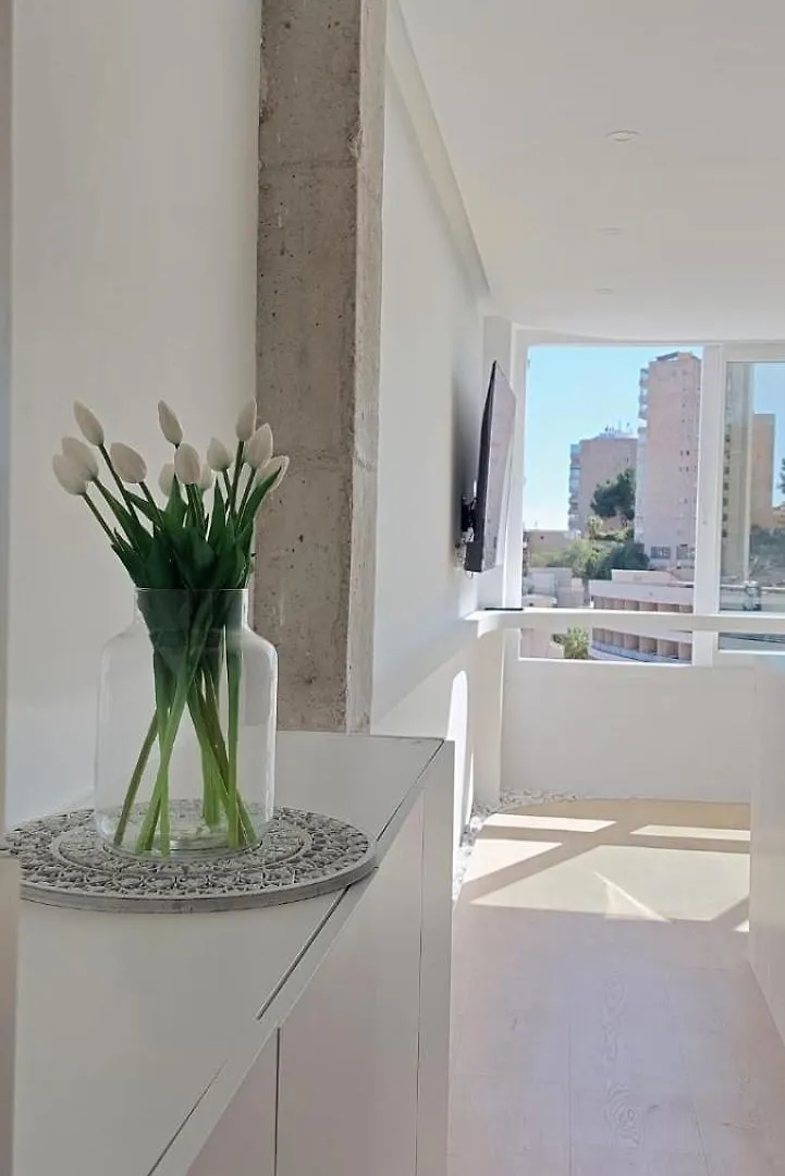 Blue Loft Sea View Apartment Palma de Mallorca